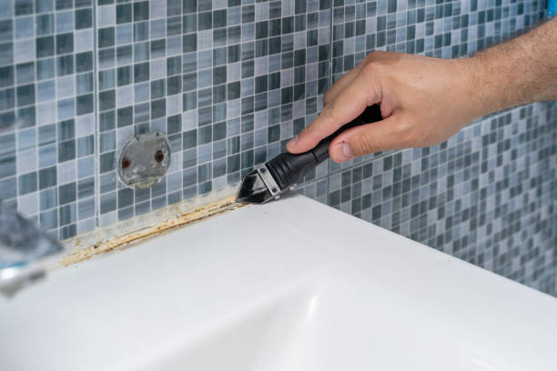 Certified Mold Removal in Star Valley Ranch, WY